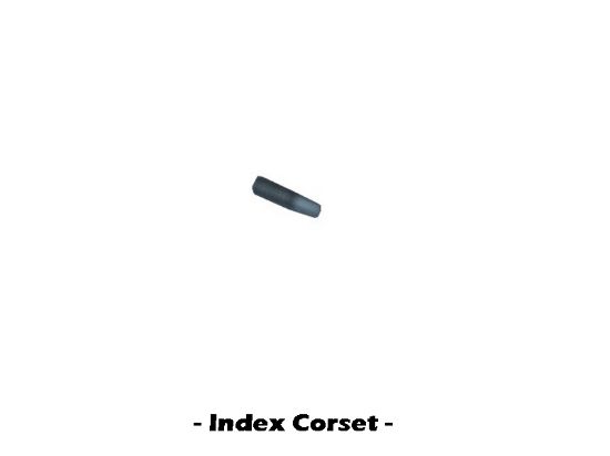 Image de D274030 - CORSET INDEX