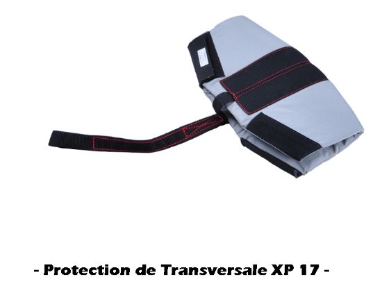Image de D074315 - PROTECTION TRANS. XP 17