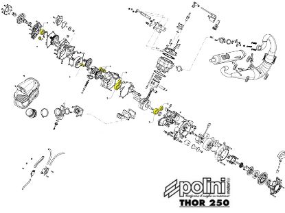 Image de FP928190003 - ROULEMENTS MOT.THOR 200/250