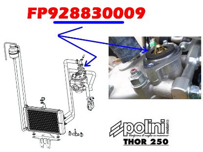 Picture of FP928830009 - THERMOSTAT EAU THOR 250