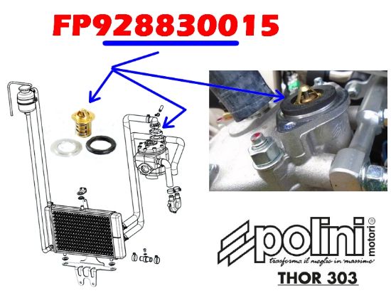 Picture of FP928830015 - THERMOSTAT EAU THOR 250/303