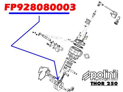 Image de FP928080003 - VILEBREQUIN THOR 250