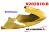 Image de R202010-B - CARENAGE AV. TANARG BLANC
