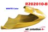 Image de R202010-B - CARENAGE AV. TANARG BLANC